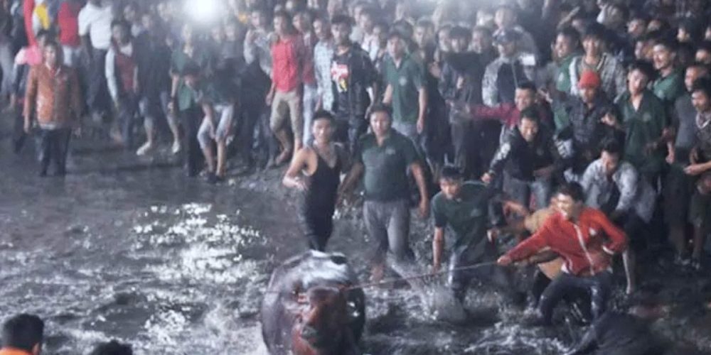 Brahmayani Jatra begins crowd of thousands from early morning