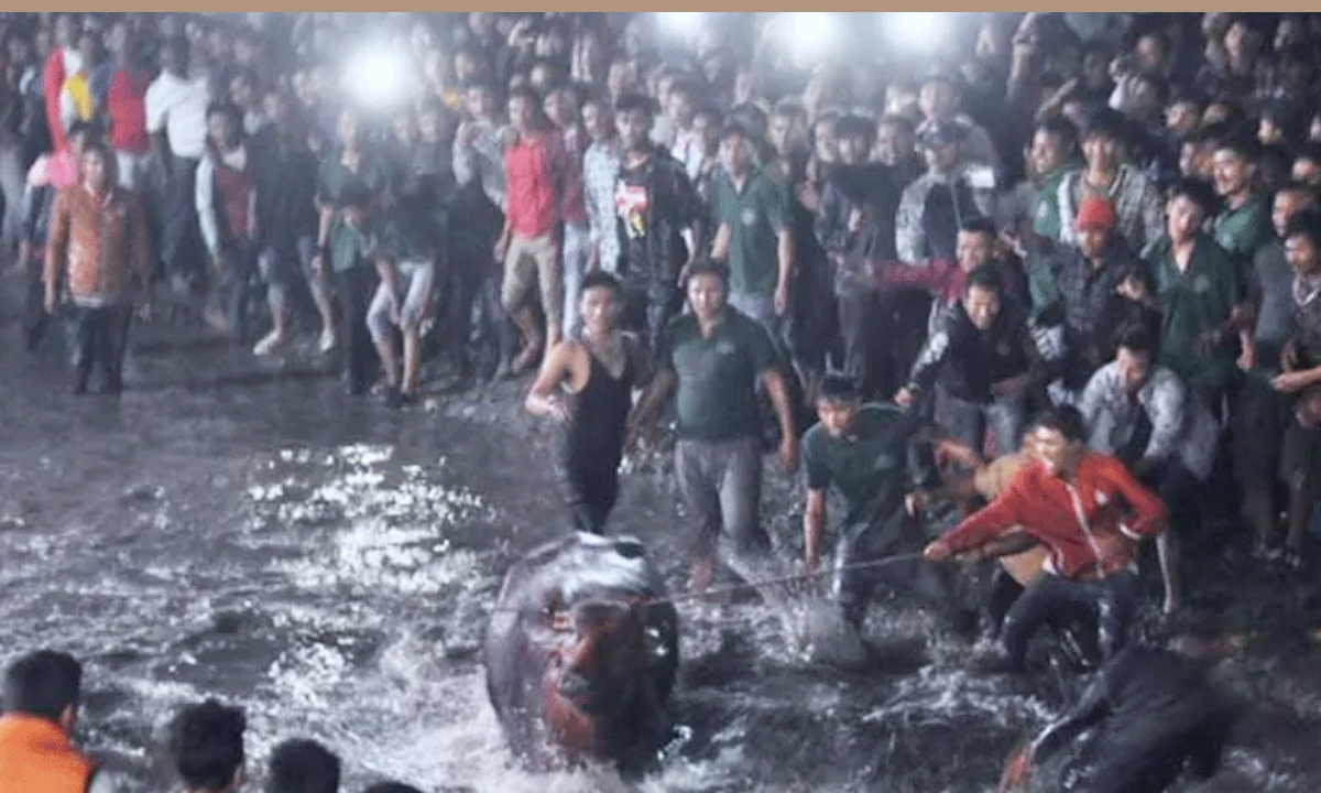 Brahmayani Jatra begins crowd of thousands from early morning