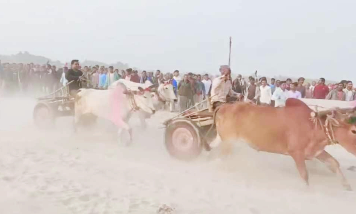 Bullock cart competition in Siraha on the occasion of Bibaha Panchami