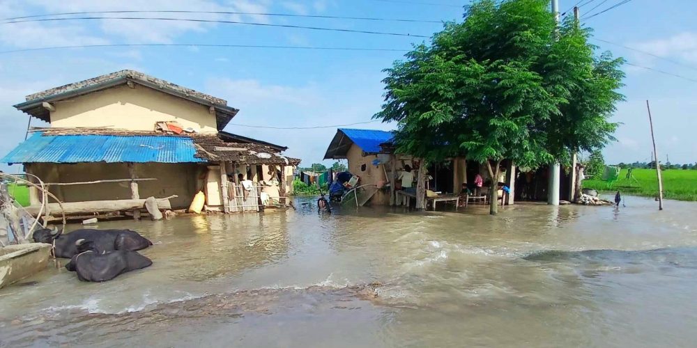 Kailali Flood