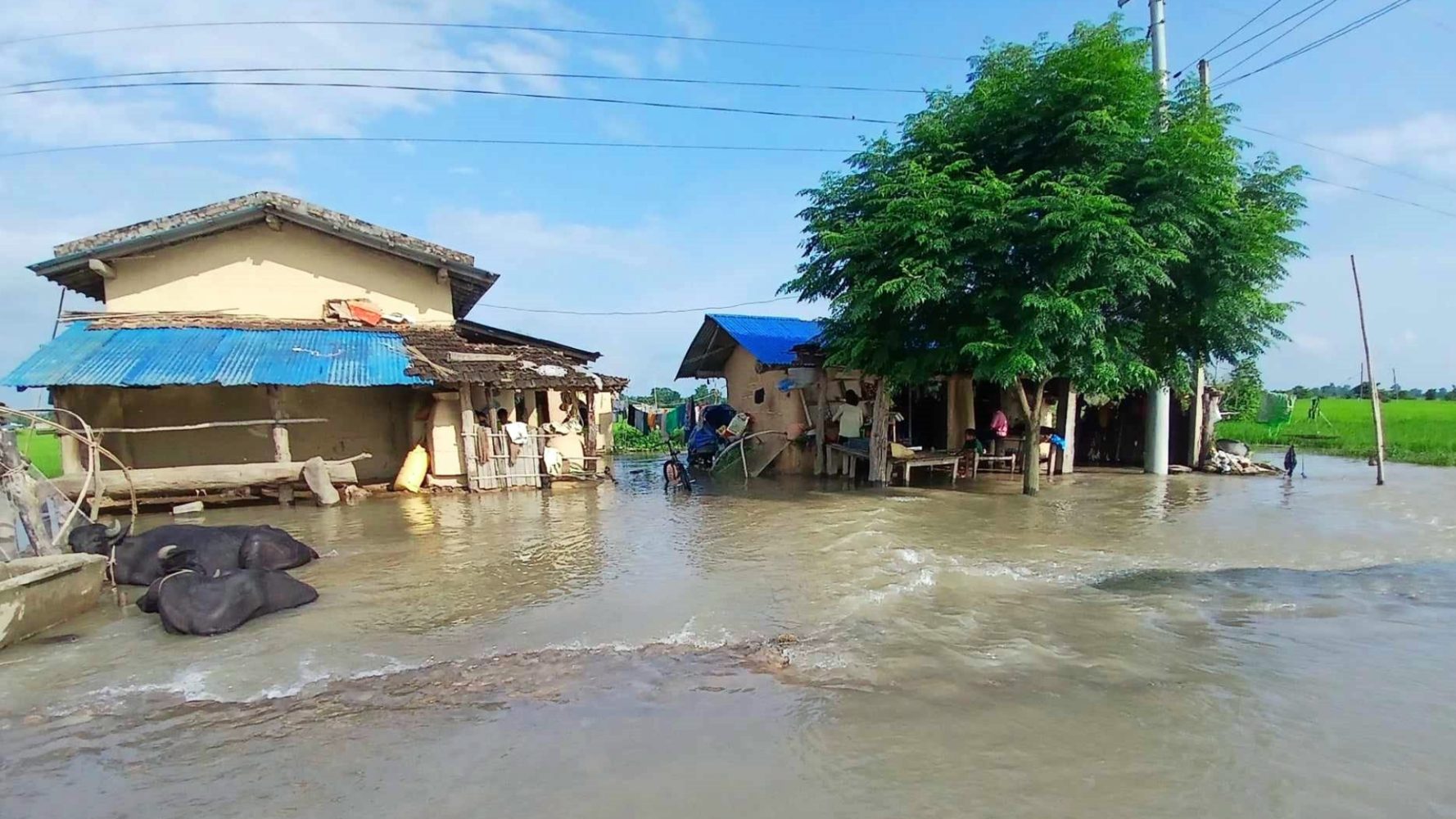 Kailali Flood