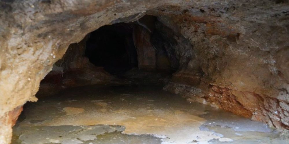 Salt is being wasted by flowing into Mustang