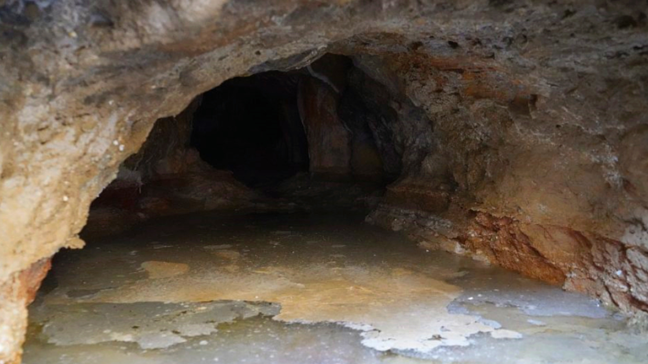 Salt is being wasted by flowing into Mustang